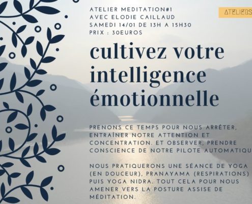 atelier-cultivez-votre-intelligence-emotionnelle